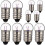 30Pcs Multi Color E10 Mini Light Bulbs Glass Alloy Replacement Kit 1