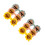 6Paires Lunettes Tournesol Multicolores 5