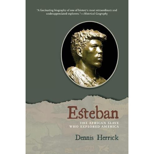 Esteban by Dennis Herrick Paperback Book