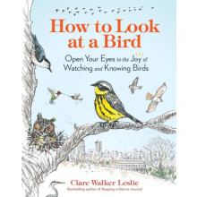 How to Look at a Bird by Clare Walker Leslie Paperback Book