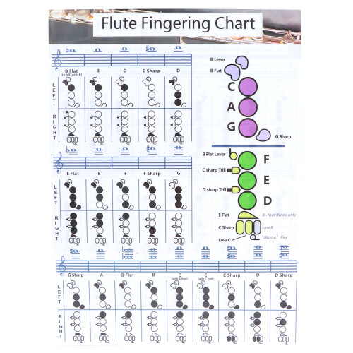 Flute Fingering Chord Chart, 28x21cm Practice Teaching Aid, Coated Paper