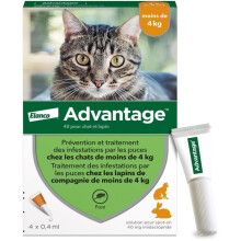 ADVANTAGE Lösung Antiparasit für Katzen und Kaninchen 1 bis 4kg 4 Pipetten