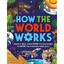 How the World Works by Clive Gifford Paperback Book