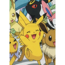 Sherpa-Decke - POKEMON - Evolitionen - 100 x 150 cm