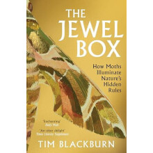The Jewel Box by Tim Blackburn Paperback Book
