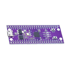 Scheda di Sviluppo MCU W806 IoT, Scheda con Chip MCU A Basso Consumo e Touch Migliorato e Integrazione del Sistema Periferico