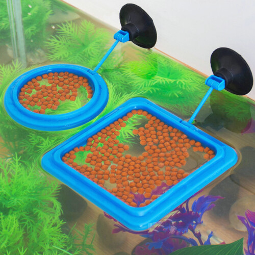 Round Floating Fish Feeder with Suction Cup for Aquarium 12cm Diameter