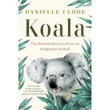 Koala by Danielle Clode Paperback Book