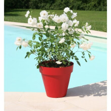 Blumentopf - RIVIERA - Soleilla Rund - Ø 60 x 53,6 cm - Rot