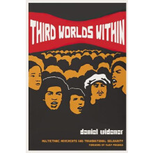 Third Worlds Within by Daniel Widener Paperback Book