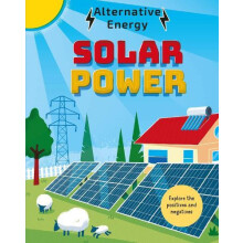 Alternative Energy Solar Power by Louise Kay Stewart Paperback Book