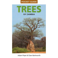 Pocket Guide Trees of Zambia by Adam Pope Paperback Book