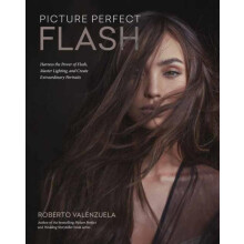 Picture Perfect Flash by Roberto Valenzuela Paperback Book