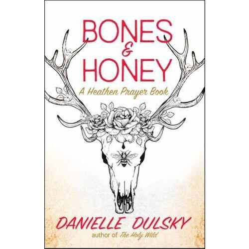 Bones amp Honey by Danielle Dulsky Paperback Book