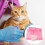 2Stk Katzenpflege- Und Badetasche Pink Mit Robustem Netzmaterial 10