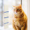 2Pièces Chat Sisal Multi-Position 9