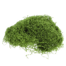 5St Realistische Miniatuur Klimplanten Lichtgroen Van Duurzaam Katoen