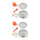 2Ensembles Équipement D'apiculture Outils À Main En Colorés 3