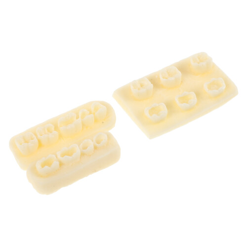 6Pcs Educational Resin Filling Practice Model