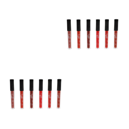 12Pièces Gloss Mat Longue Tenue Portable Mix 2