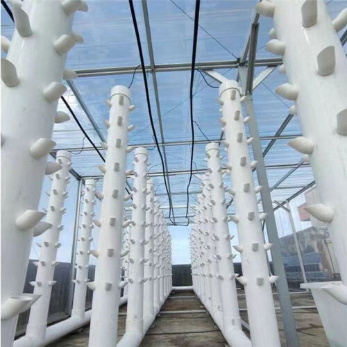 10 Sets Hydroponic Soil-Free Growing System DIY Hydroponic Nursery Garden Kit 2