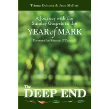 The Deep End by Jane Mellett Paperback Book