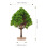 24Pcs Miniature Landscape Trees Green Artificial Craft Ornaments 11