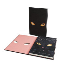 Hairball by Hilary Jenkins Hardcover Book
