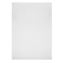 Plaque Lenticulaire Invisible En Pet Pour Cosplay Et Magie