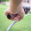 Bike Handlebar End Caps Black Rubber Bar End Plugs for 4