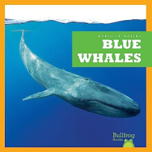 Blue Whales by Eliza Leahy Hardcover Book