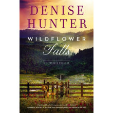 Wildflower Falls by Denise Hunter Paperback Book