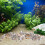 2Paquets Pierres Décoratives Multicolores Pour Aquarium 8