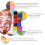 1Ensemble Kit De Corps 18 Couleurs Peinture 8