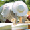 Miel Durable Plastique Usage Apiculture Fermeture Précise 6
