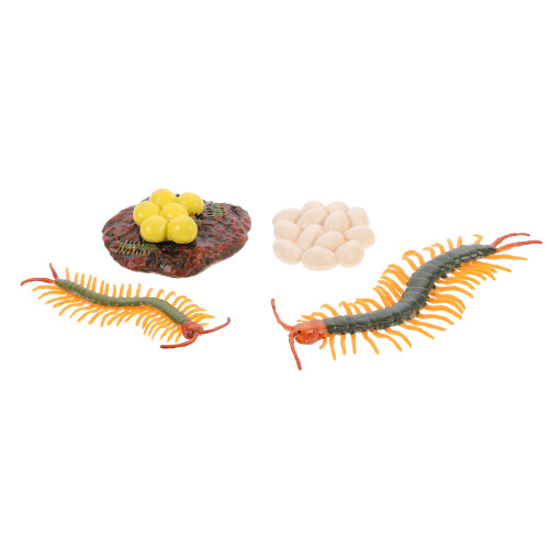 8Ensembles Figurines Educatives Mille-Pattes Cycle De Vie Multicolores 1