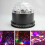 1Pièces Projecteur De Noir Durable Lumière LED Pour Décoration 4