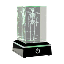 3D Lasergegraveerde Menselijke Skeletkristallen Kubusbeeldjes, Medische Wetenschapsgeschenken, Orgaananatomisch Model Presse-Papier A