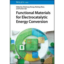 Functional Materials for Electrocatalytic Energy Conversion Hardcover