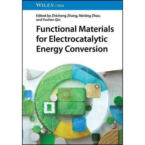 Functional Materials for Electrocatalytic Energy Conversion Hardcover