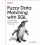 Fuzzy Data Matching with SQL by Jim Lehmer Paperback Book 1