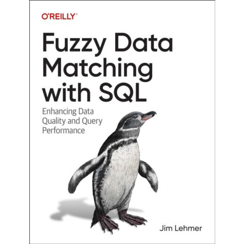 Fuzzy Data Matching with SQL by Jim Lehmer Paperback Book