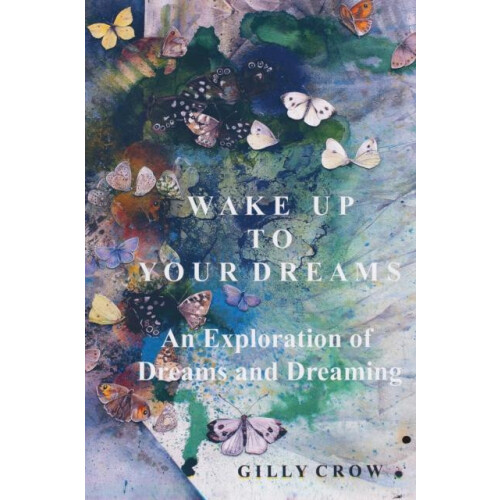 Wake Up to Your Dreams by Gilly Crow Paperback Book