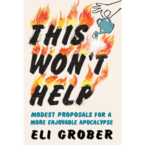 This Wont Help by Eli Grober Hardcover Book