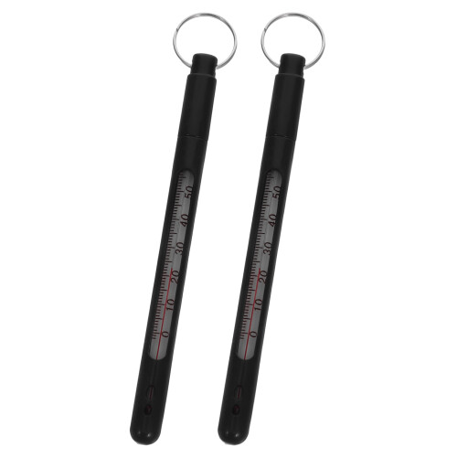 2Pièces Thermomètres De Étanches Noir ABS Pour Lacs Étangs