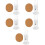 5Pcs White Vertical Hamster Waterer Convenient Cage Bottle for Pets 7