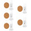 5Pcs White Vertical Hamster Waterer Convenient Cage Bottle for Pets 11