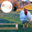 2Pcs Practical Light Brown Chicken Stand Polished Wood Bird Perch 10