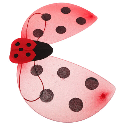 3Pièces Ailes Accessoires Déguisement Facile À