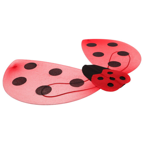 3Pièces Ailes Accessoires Déguisement Facile À 2